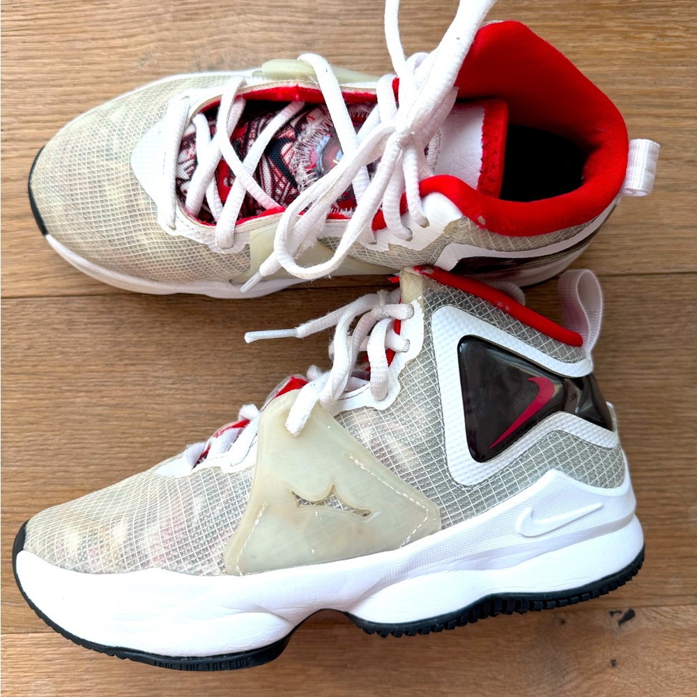 Nike LeBron 19 EP sketch mids